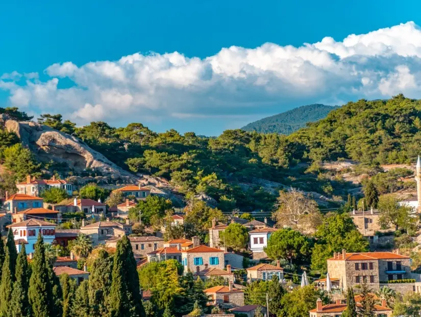 adatepe kaz dağları
