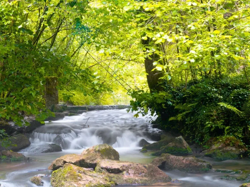 Ardennes, Belçika Lesse nehri