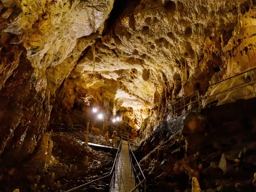 Romanya'daki Chiscau'daki ayı mağarası