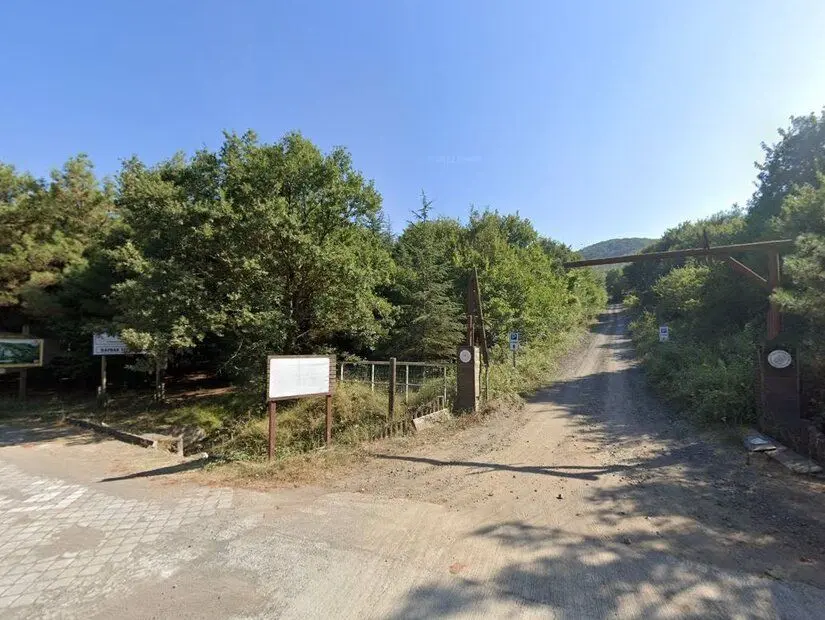 Bayraktepe Tabiat Parkı Kamp Alanı 