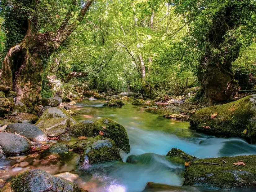bozcaada kamp alanı orman içinde bulunan dere
