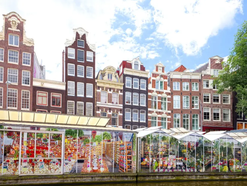 Amsterdam Çiçek pazarı (Bloemenmarkt)