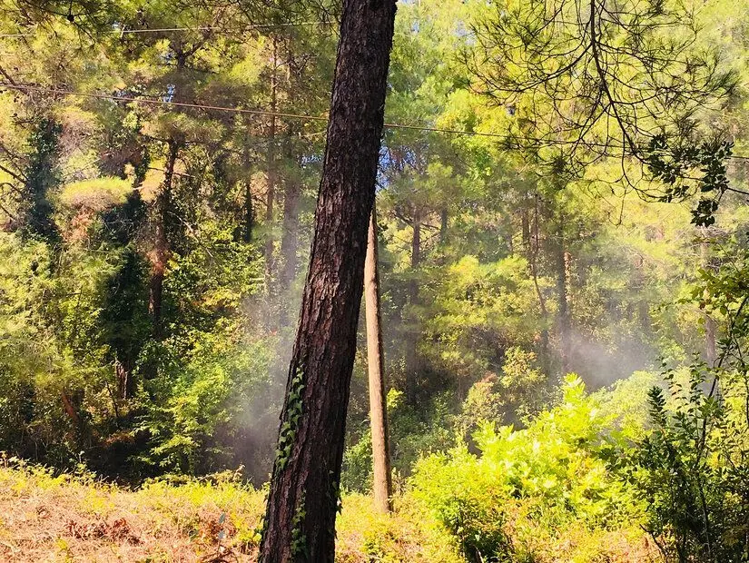 Çamgölü Mesire ve Kamp Alanı