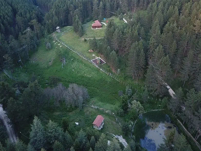 Çatacık Ormanları havadan iç görünümü