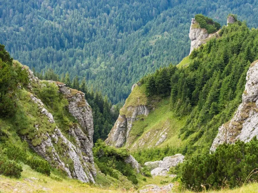 Romanya'daki Ceahlau Masifi dağlarının doğal manzarası