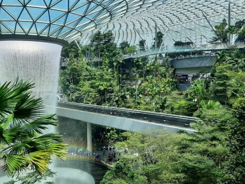 Changi Havalimanı / Singapur