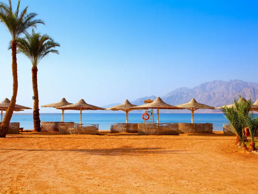 Mısır, Dahab plajında ​​güneşli bir gün, plaj şemsiyeleri, şezlonglar, dinlenme, palmiye ağaçları, deniz kıyısı, kızıl deniz