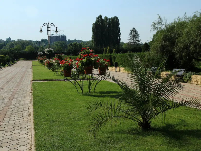 Dendrariu parkındaki yeşil ağaçlar ve çimenler, 
