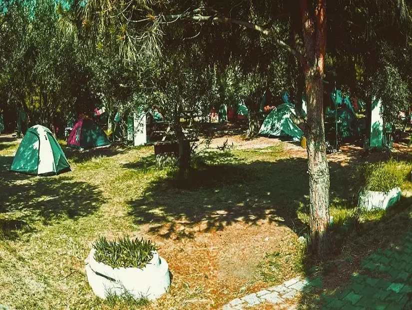 Deniz Çadır Kamp - Dikili