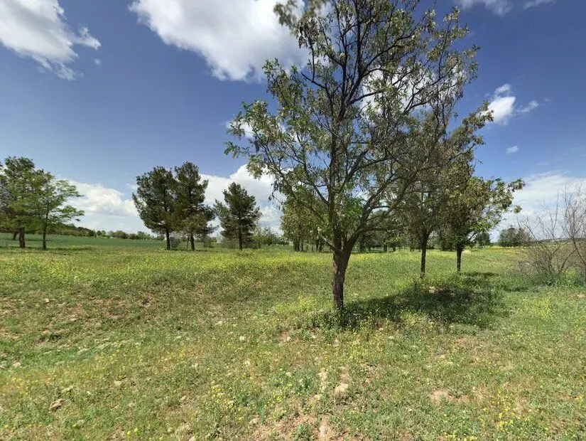 Dicle Üniversitesi Piknik Alanı / Sur
