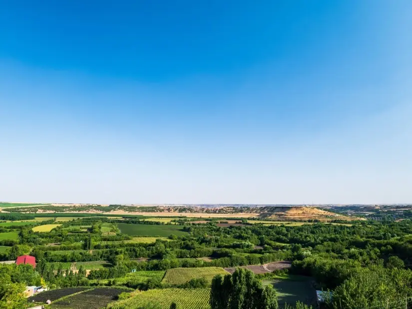 Diyarbakır Kent Ormanı ve Kent Parkı / Sur