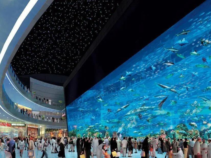 Dubai Akvaryumu ve Sualtı Hayvanat Bahçesi gezen ziyaretçiler