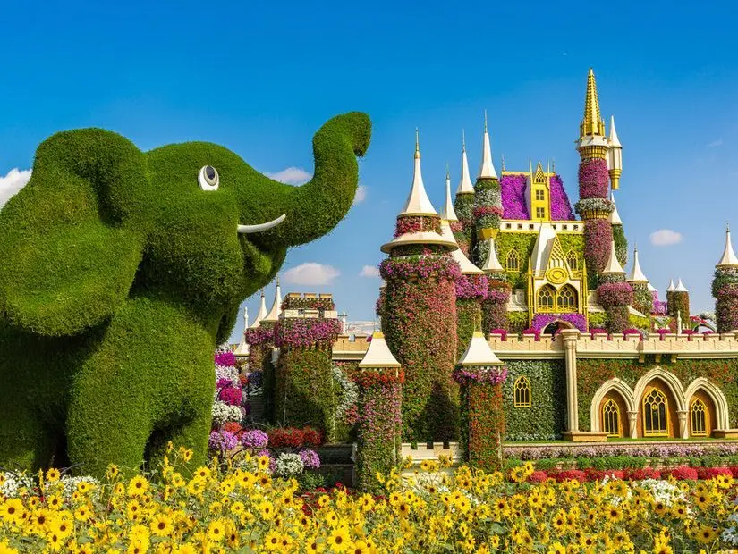 Dubai Miracle Garden çiçek ve çimenlerden yapılan semboller