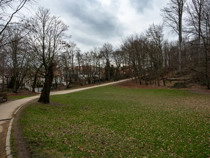 Düden parkında yeşil çim ve bükülü yürüyüş yolu, Orman, Brüksel Başkent Bölgesi, Belçika