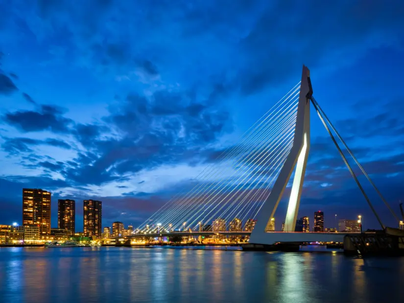 Geceleri aydınlatılan Erasmus Köprüsü (Erasmusbrug) ve Rotterdam  şehir manzarası. 