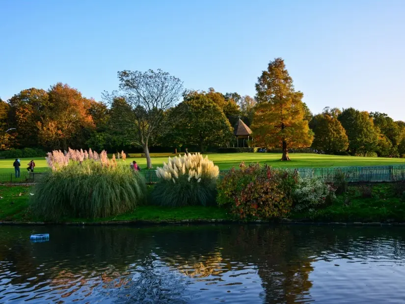 Gün batımı ışığında Kuş Göleti, ağaçlar, çiçekler ve orkestranın bulunduğu Golders Hill Park'ın görünümü.