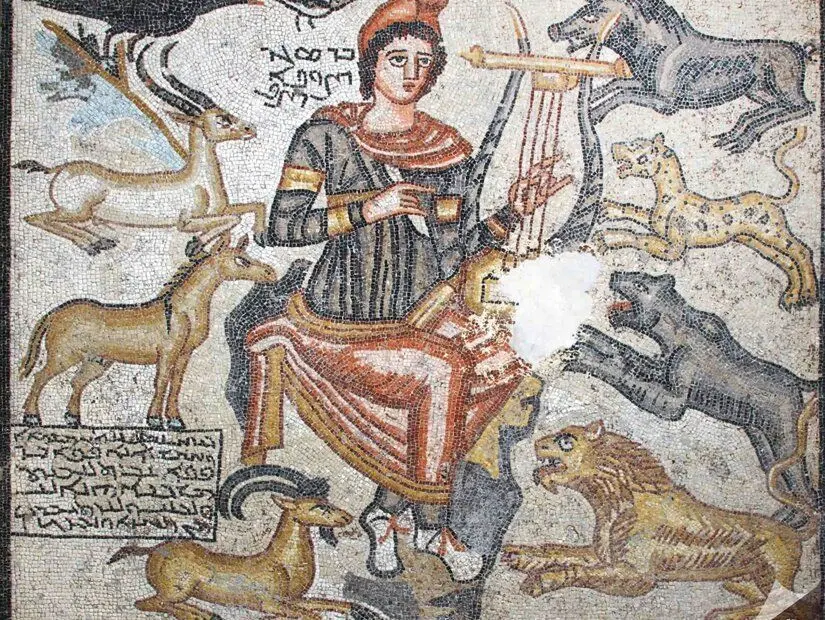 Haleplibahçe Mozaik Müzesi Şanlıurfa
