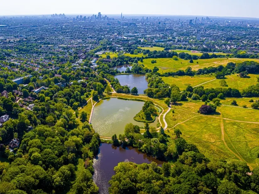 Çimenli bir kamusal alan ve Londra, İngiltere'nin en yüksek noktalarından biri olan Hampstead Heath'in havadan görünümü