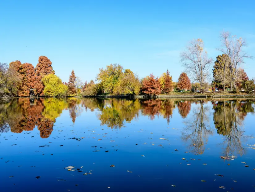 Güneşli bir sonbahar gününde, Bükreş, Romanya'daki Herastrau Park'ta gölün yakınında birçok büyük yeşil, sarı ve turuncu ağacın bulunduğu manzara