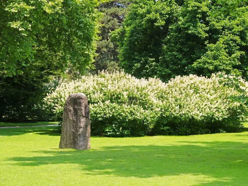 Almanya'nın merkezinde yeşillik içinde bahçe