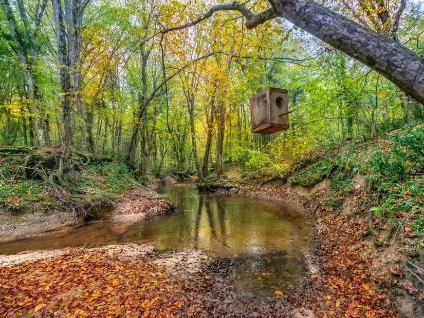 İğneada Longoz Ormanları Milli Parkı, Türkiye