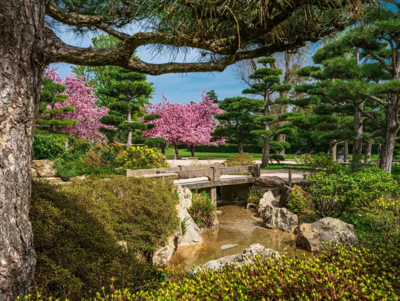 Nordpark Japon Bahçesi görünümü