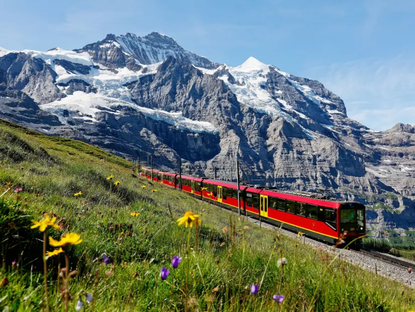 jungfrau dagi arasından geçen tren 