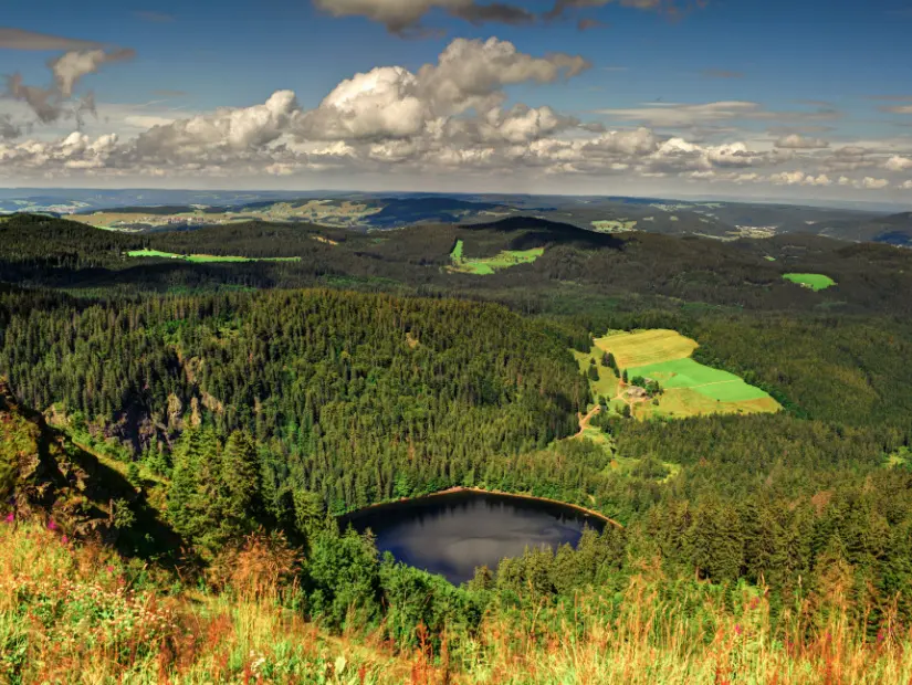 kara-orman-ulusal-parki-baden