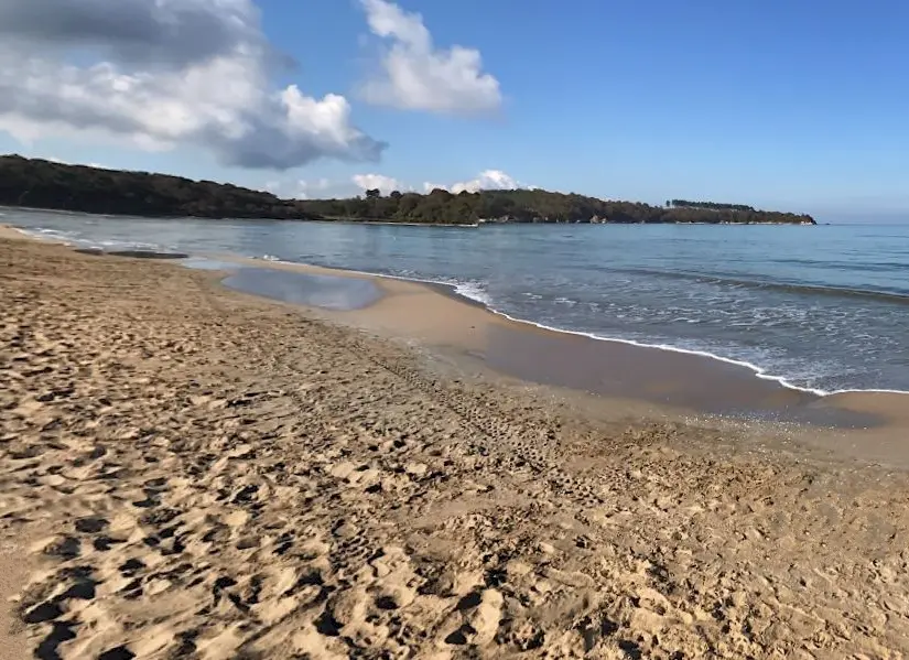 Kumcağız Plajı, Kocaeli sarı altın rengi kuma vuran deniz dalgası görünümü eşliğinde plajın muhteşem manzarası