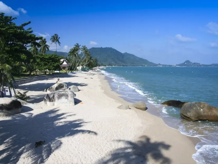 Tayland Körfezi'ndeki Koh Samui Adası'ndaki popüler turistik tesis Lami Plajı