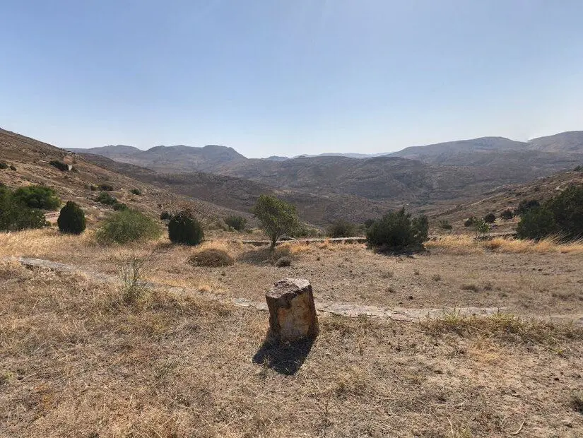 Yunanistan'ın Midilli adasındaki UNESCO Jeoparkı "Taşlaşmış Sigri Ormanı"ndan fosilleşmiş bir ağaç