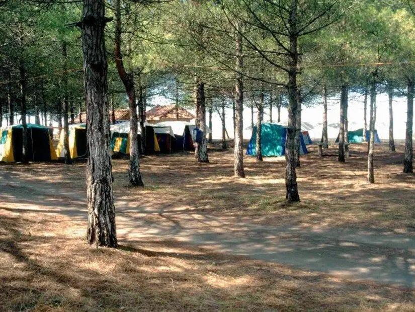 Miliç Plajı Kamp Alanı