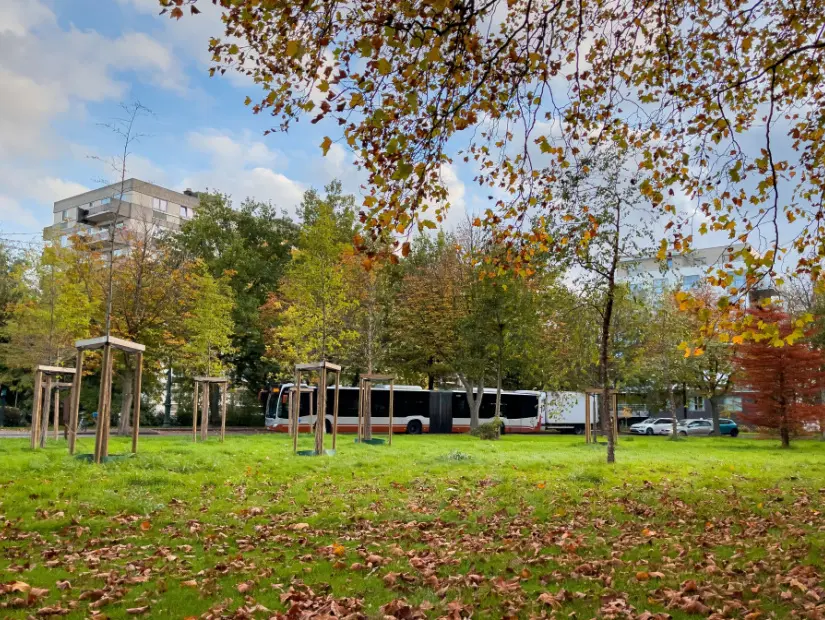 Güneşli bir sonbahar gününde Brüksel'deki Molenbeek Saint-Jean parkı