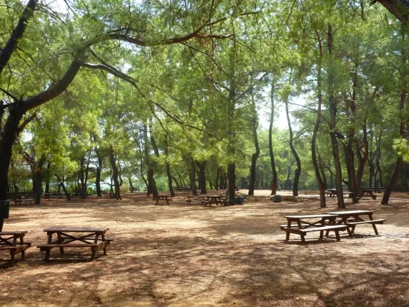 Kiraçtepe Park Orman Piknik Yeri örnek görseli