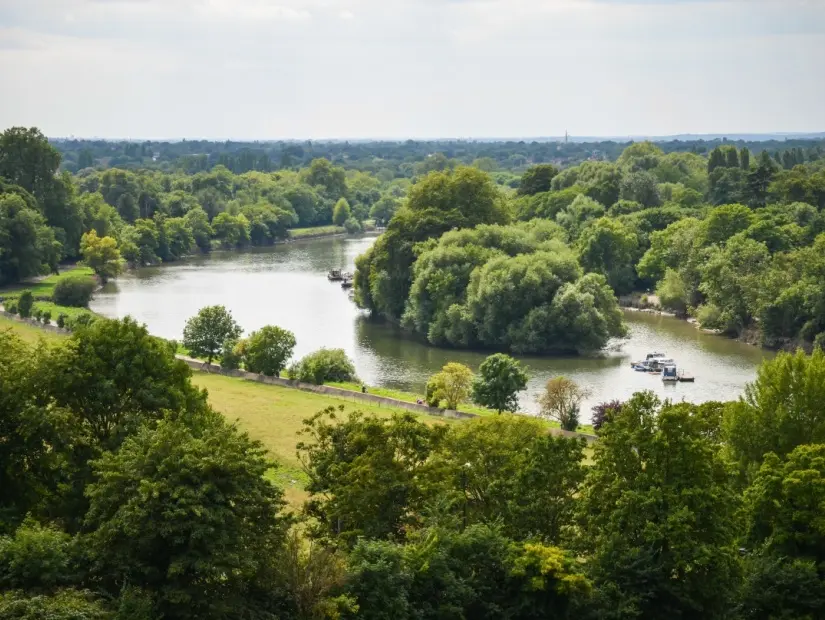 Londra, İngiltere'deki Richmond parkının alanları