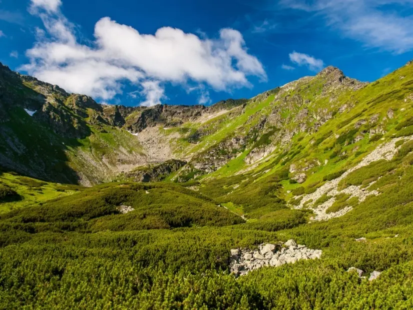 Rodna Dağları Milli Parkı'nın dağ sırtı yamaçları 