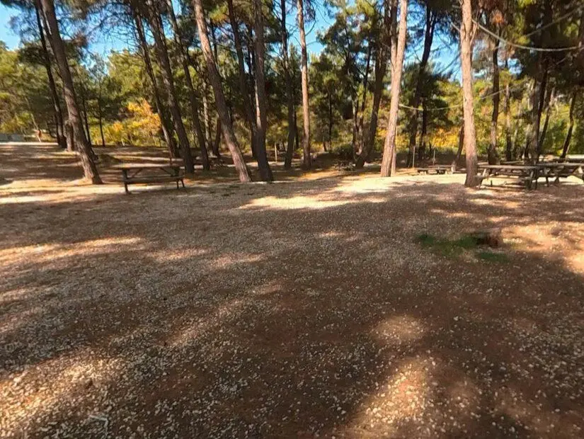 Sait Faik Abasıyanık Koyu Kamp Alanı