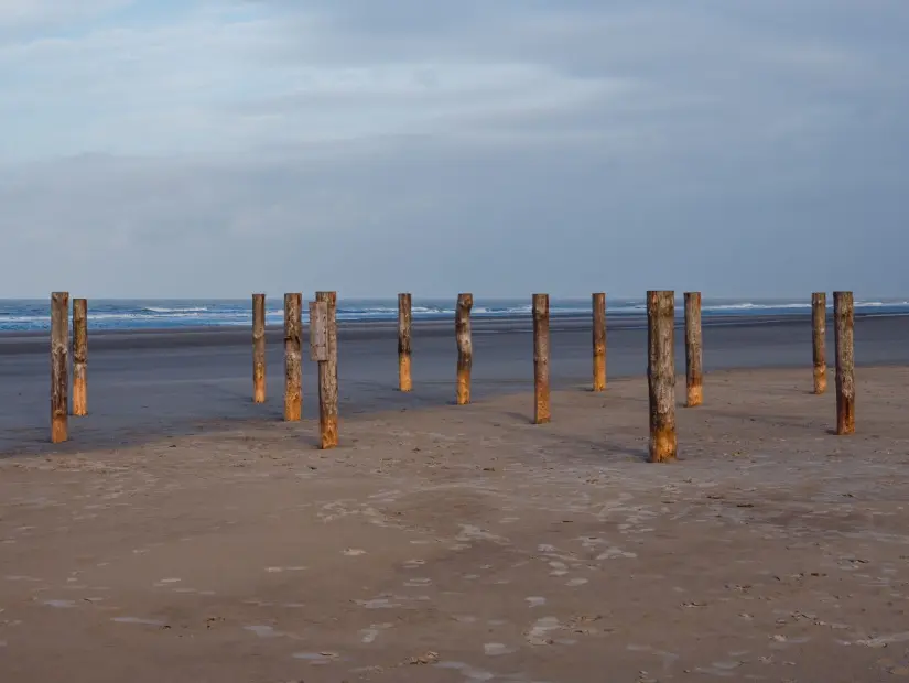 Hollanda'nın Schiermonnikoog sahilindeki ahşap direkler