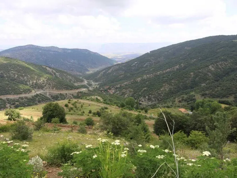 Şebekpınarı Yaylası dağ arasında yüksek tepede bulunan piknik alanı