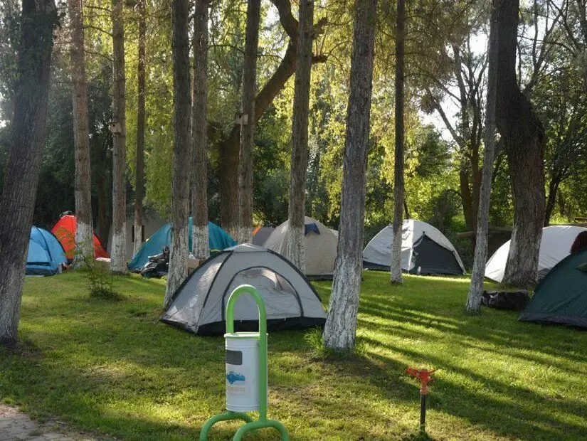 Seyitgazi Santral Parkı Kamp Alanı