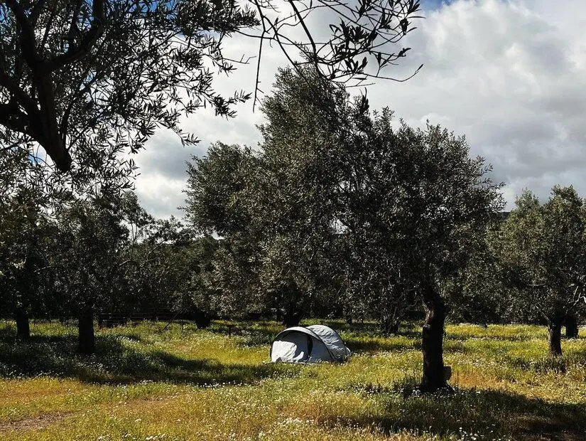 Sincap Kamp - Ayvacık