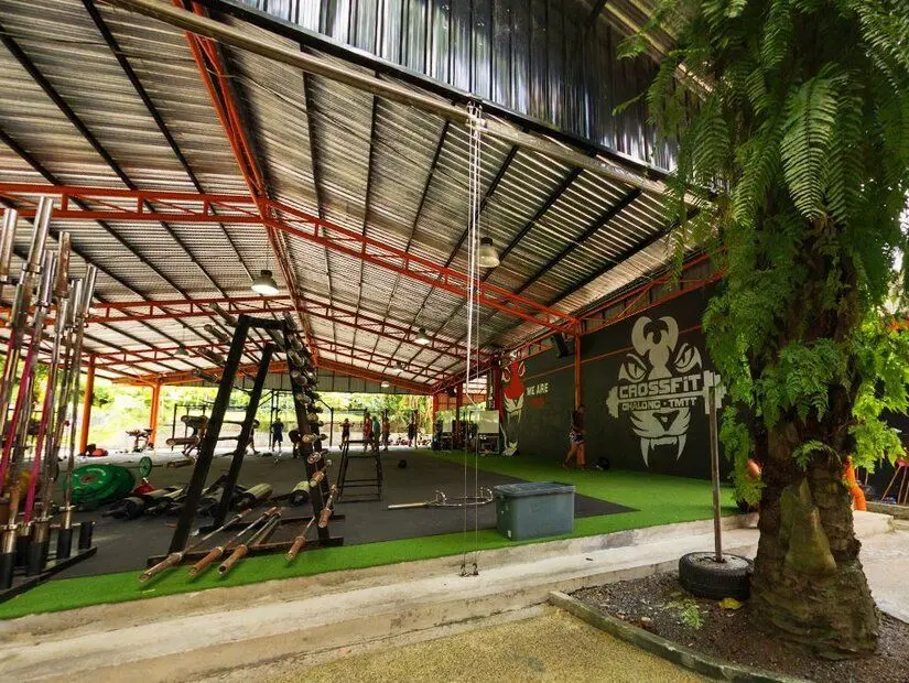  Tiger Muay Thai eğitim kampı iç alan görünümü