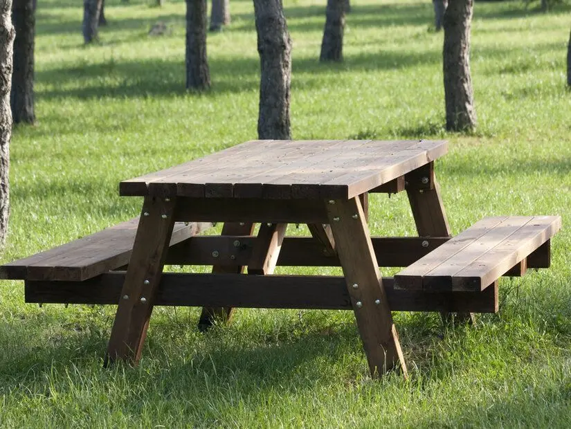  Gazi Köşkü Piknik ve Mesire Alanı / Sur örnek görseli