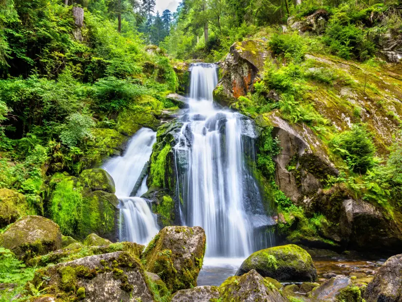 triberg-selaleleri-triberg