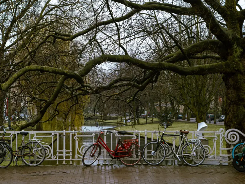 Rotterdam'daki Pont Witte de withburg'a park edilmiş bisikletler.