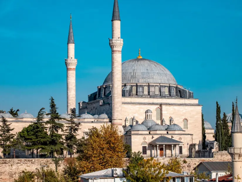 Osmanlı padişahı Yavuz Sultan Selim için İstanbul Fatih'te inşa edilen cami. Cami İstanbul'un yedi tepesinden birinde yer almaktadır.
