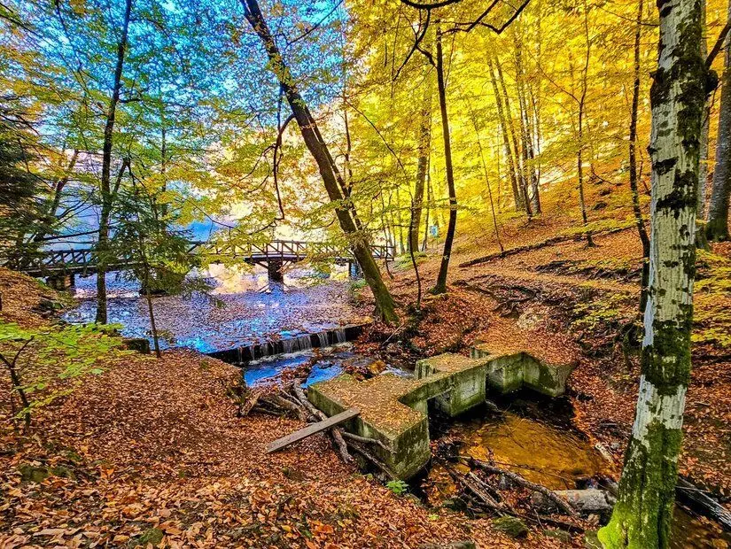 Türkiye'nin Bolu şehrindeki Yedigoller Parkı