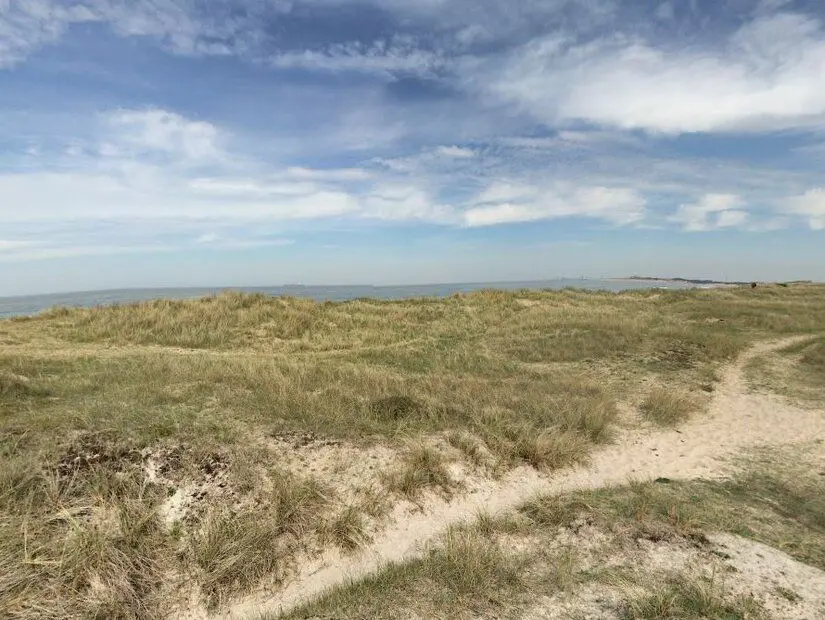 Zwin Doğa Parkı - Knokke Heist görünümü