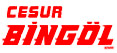 Cesur Bingöl