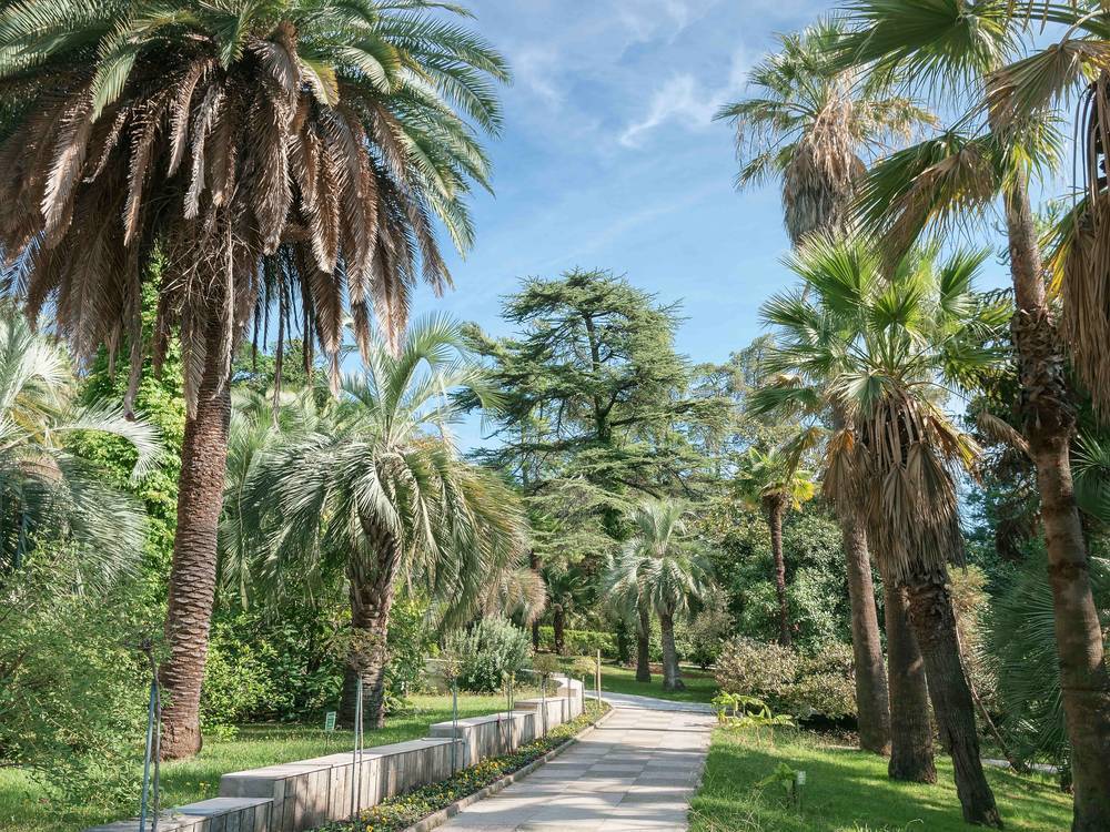 Arboretum Botanik Bahçesi